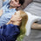 Slow Rebound Pressure Pillow - IdeGas Wear